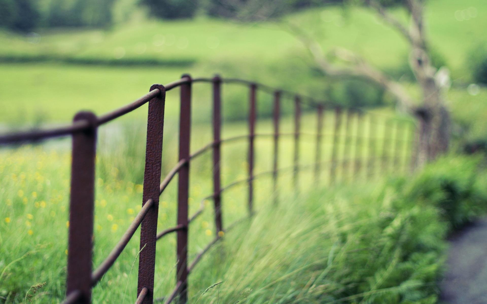 Close Up Fence Fencing Green Nature Blur Macro Wallpaper