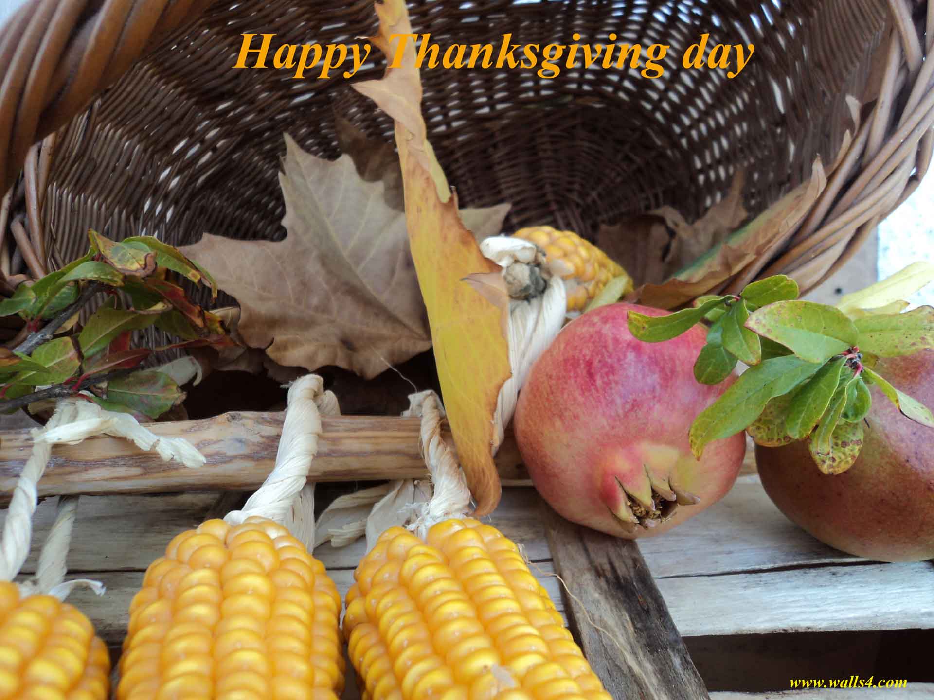 Wallpaper Happy Thanksgiving Every Day