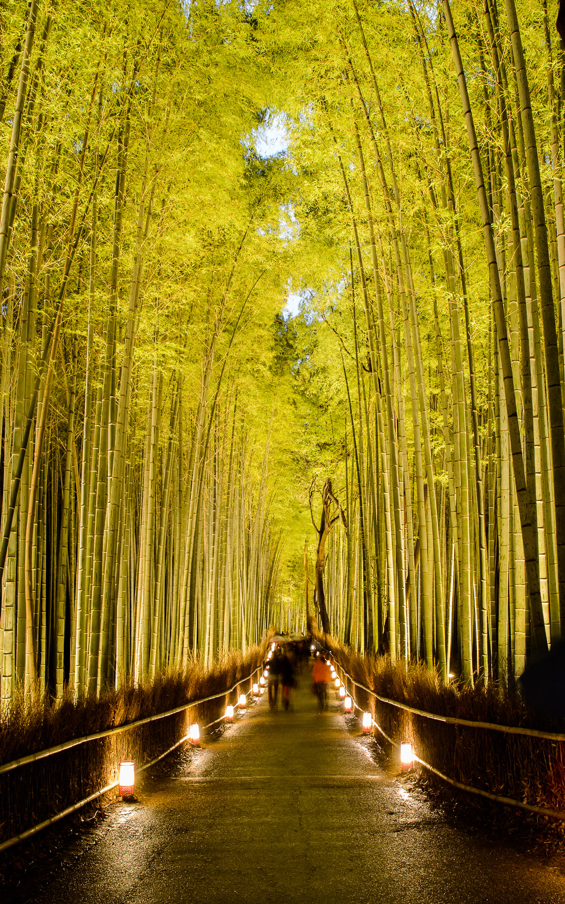 Desktop Background Image Of The Arashiyama Bamboo Forest Kyoto Japan