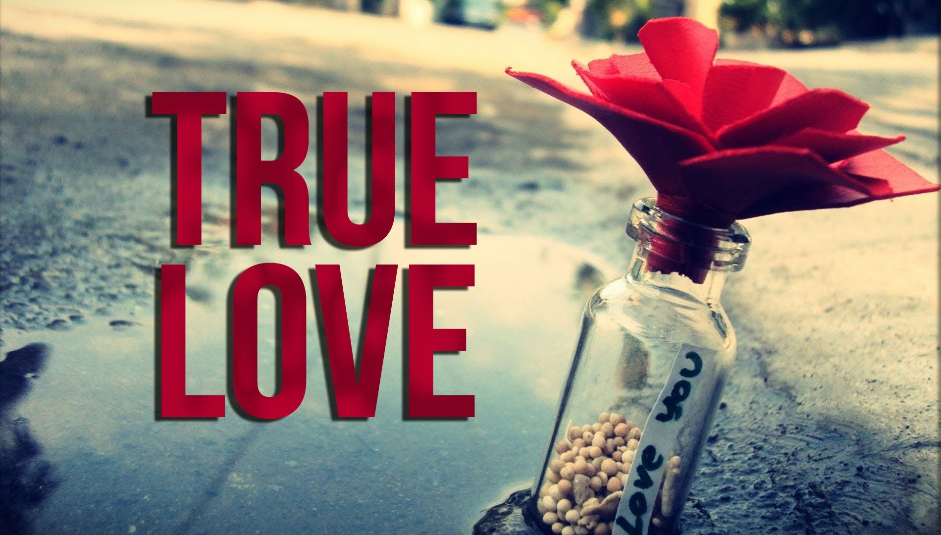True Love Heart Warming