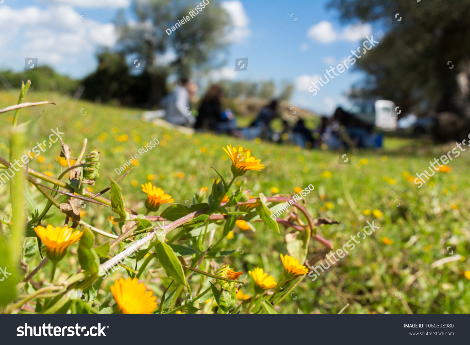 Close Flowered Meadow On Blur Family Stock Photo Edit Now