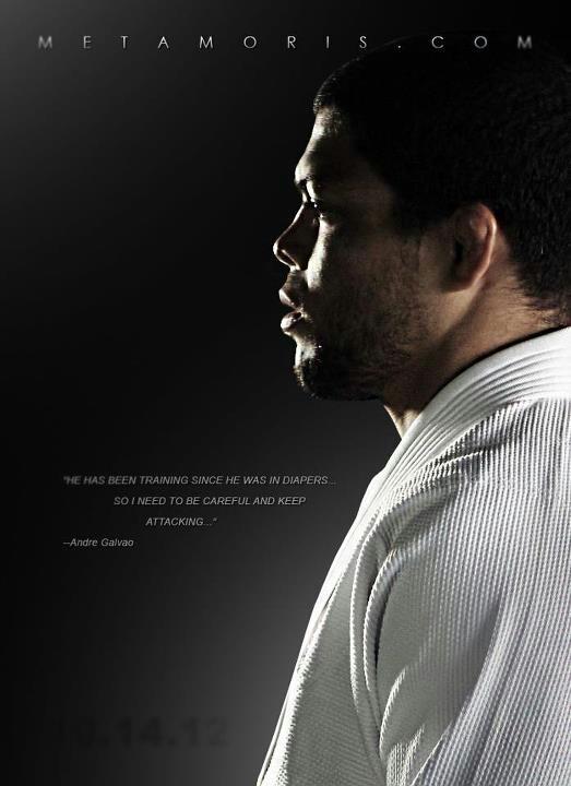 Bjj Quotes Wallpaper Great Quote From Andre Galvao