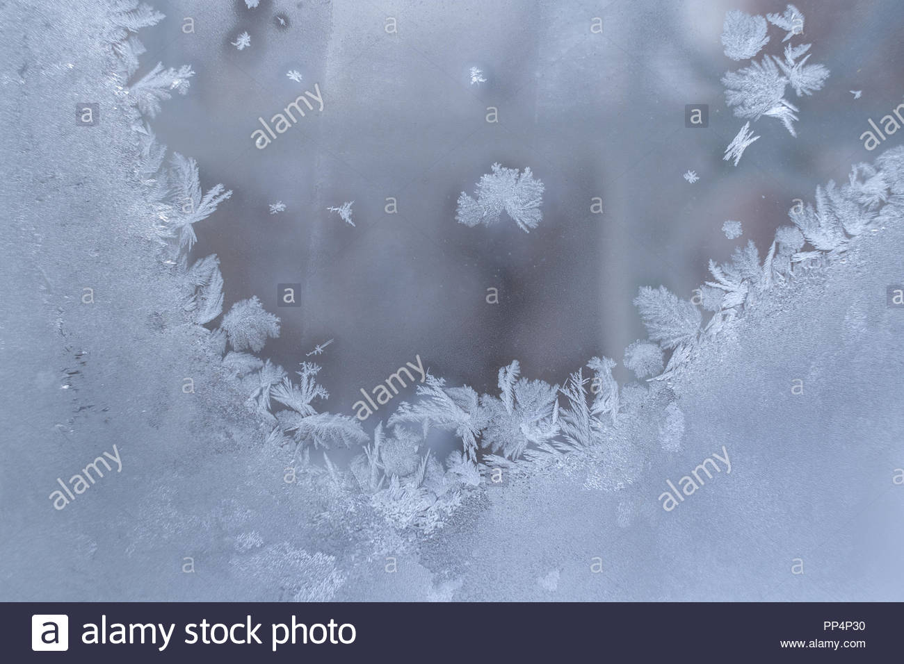 White Frozen Window With Snowflakes As Christmas Or Winter