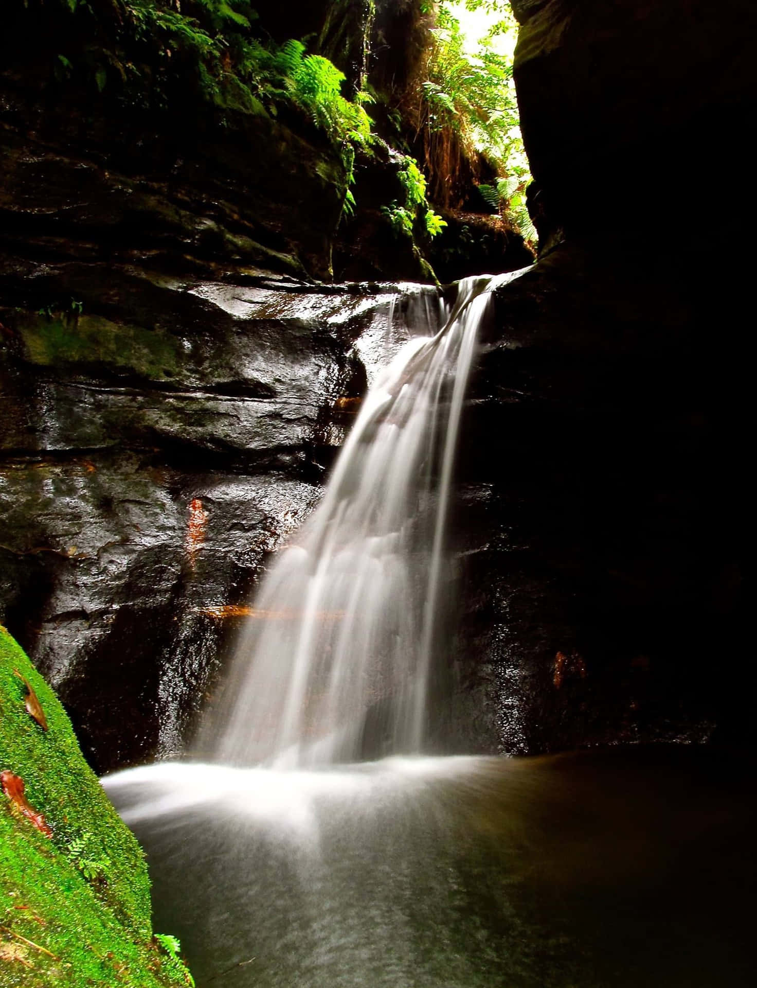 Blue Mountains National Park Wallpaper