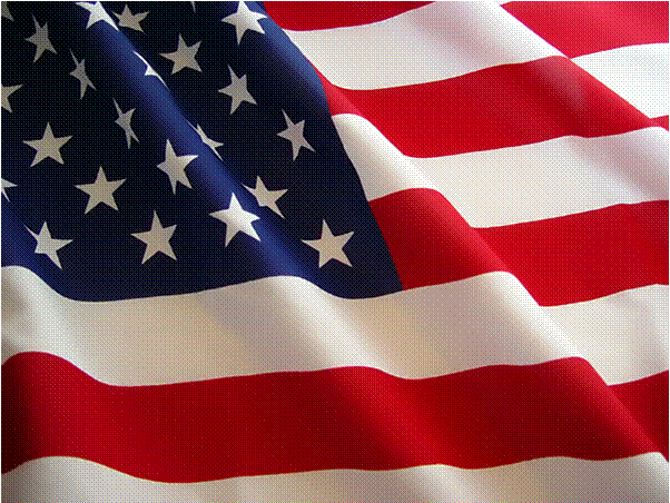 moleskinex19 American Flag Background
