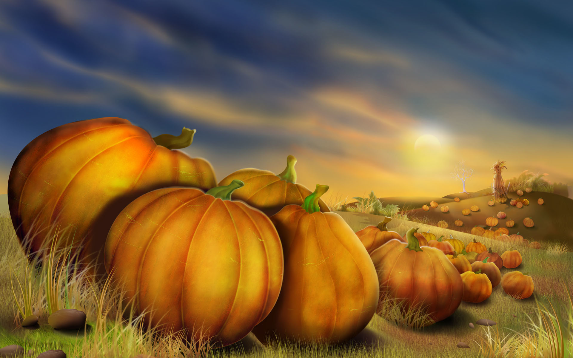 Pumpkins in a field at sunset, evoking the warmth and abundance of Thanksgiving