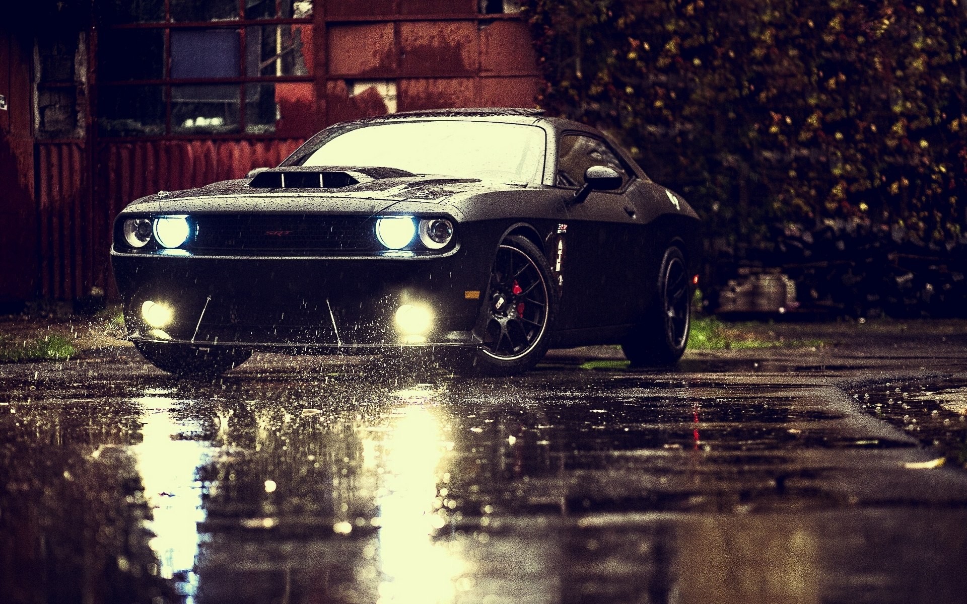 Srt Dodge Rain Lights Reflections Black Cars Sports Car
