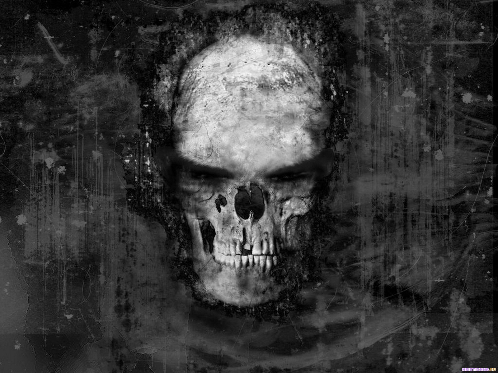 Skull Horror Wallpaper