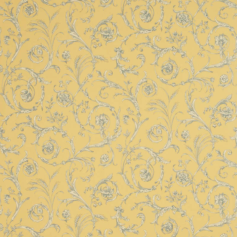 Sanderson Wallpaper Toile Scroll Co Ordinate Collection Degtsc101