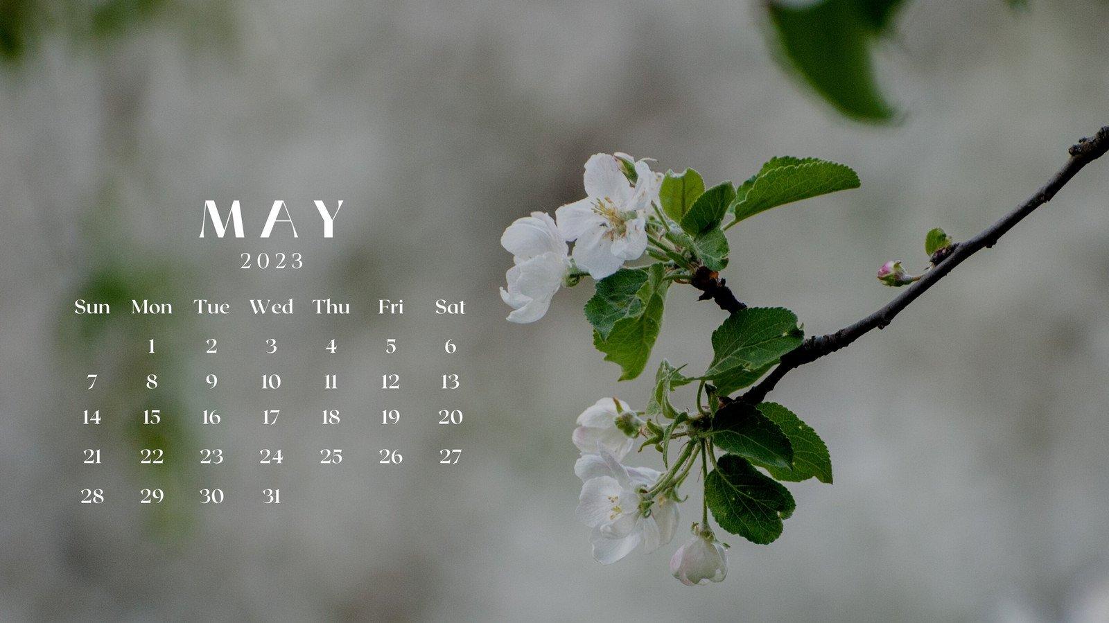 Page 3   Free and customizable floral desktop wallpaper templates