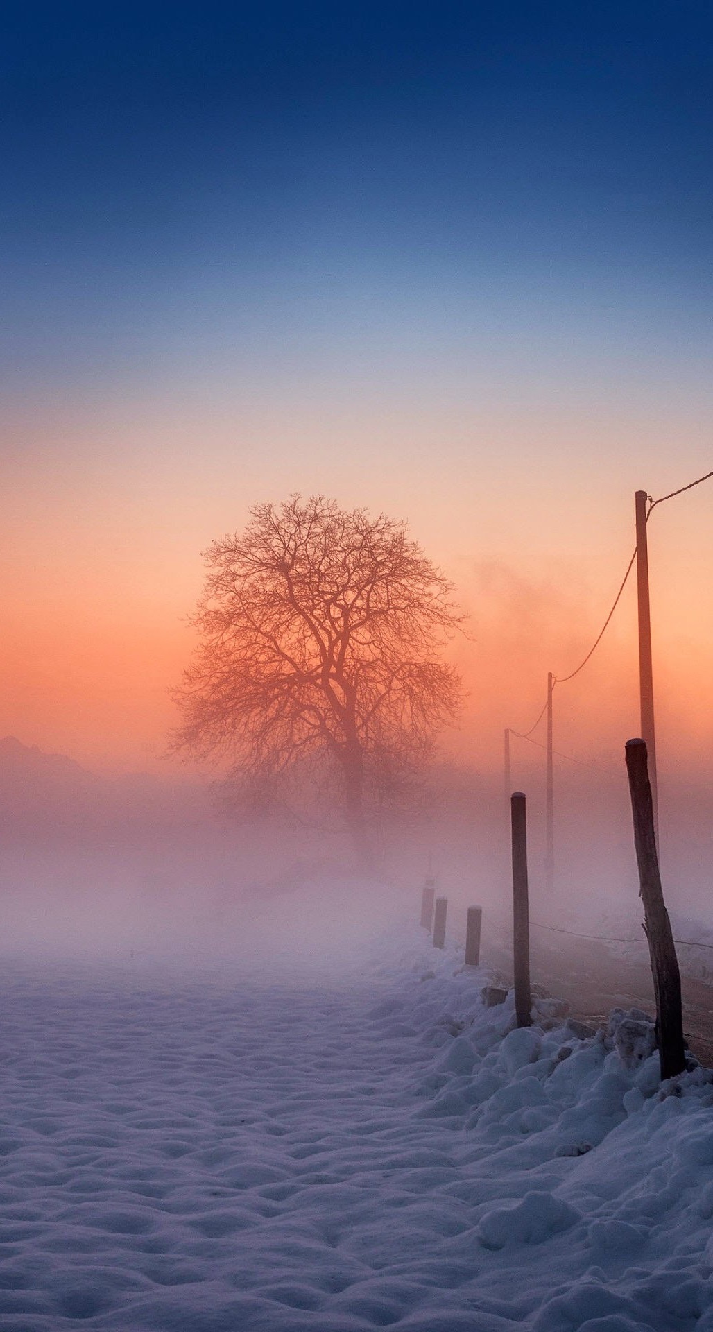 Winter Scene Fog Glow iPhone Plus HD Wallpaper Ipod