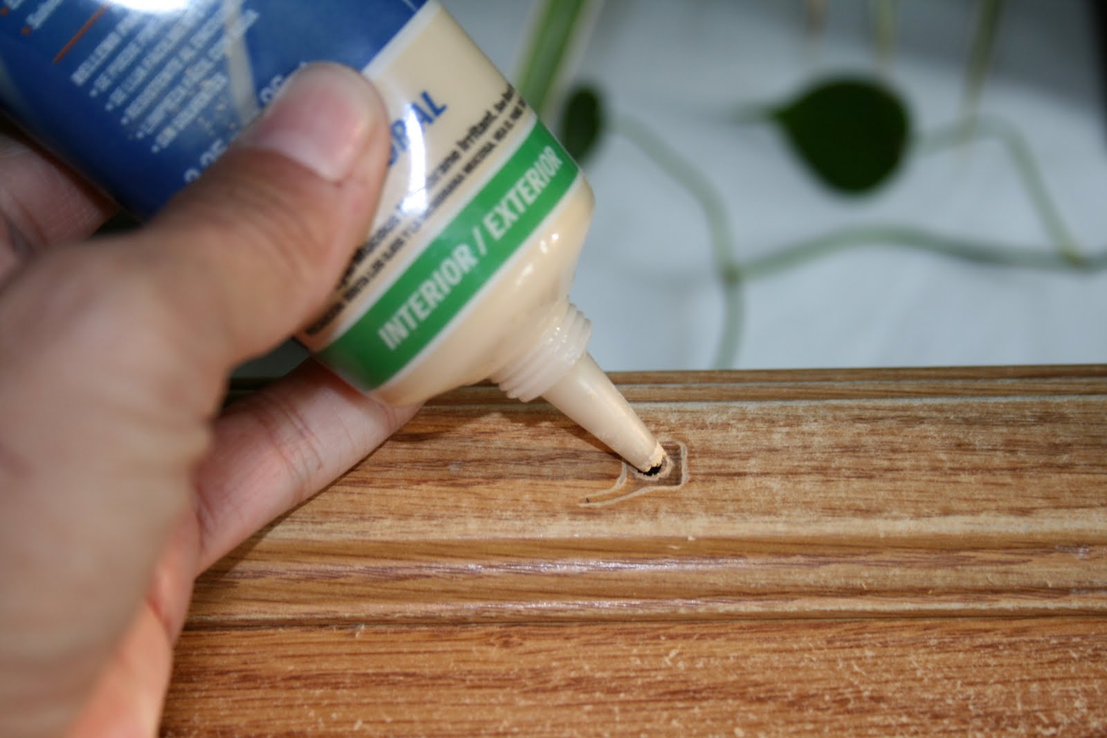 Free download hen I remembered that I needed to fill the holes So I did