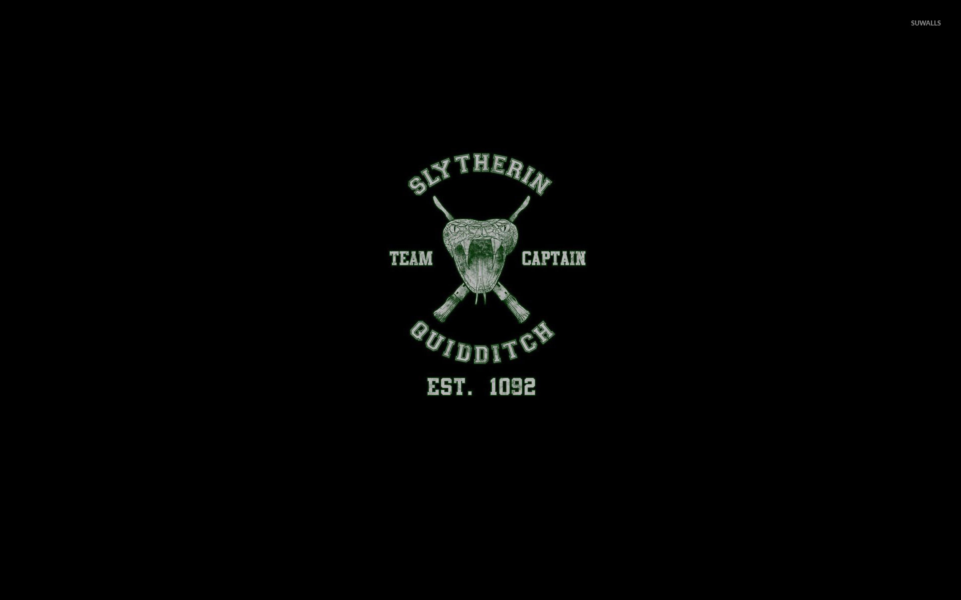 Slytherin Quidditch Team Wallpaper