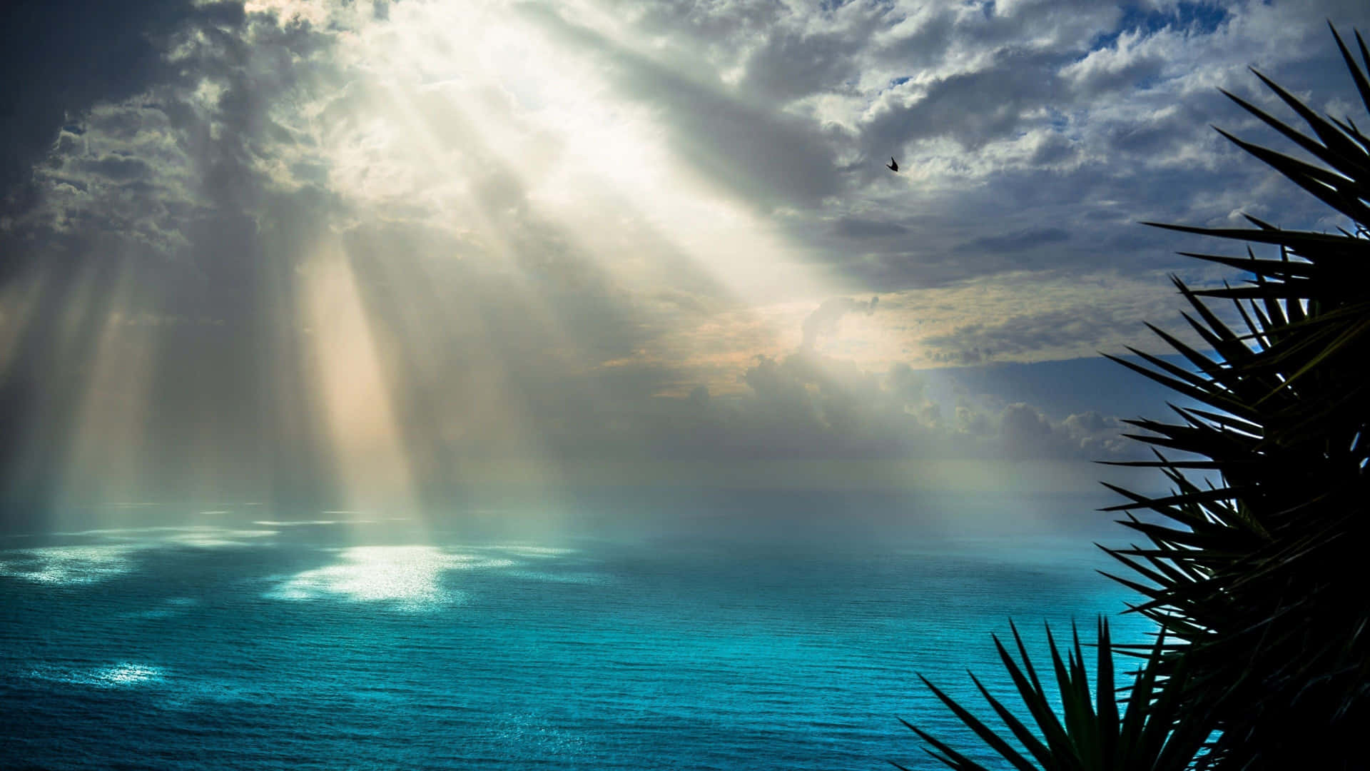 Sun Rays Wallpaper