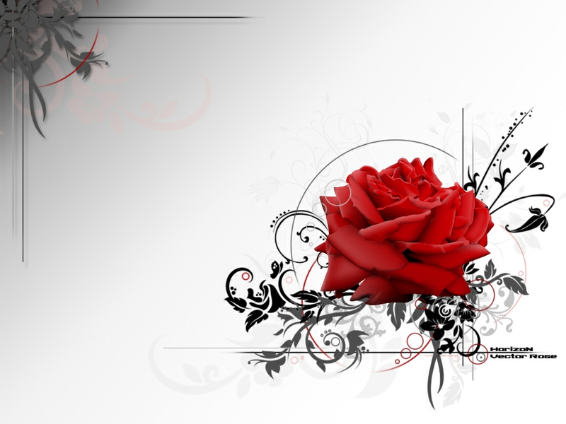Black Dark Vector Rose Nature Flowers HD Desktop Wallpaper