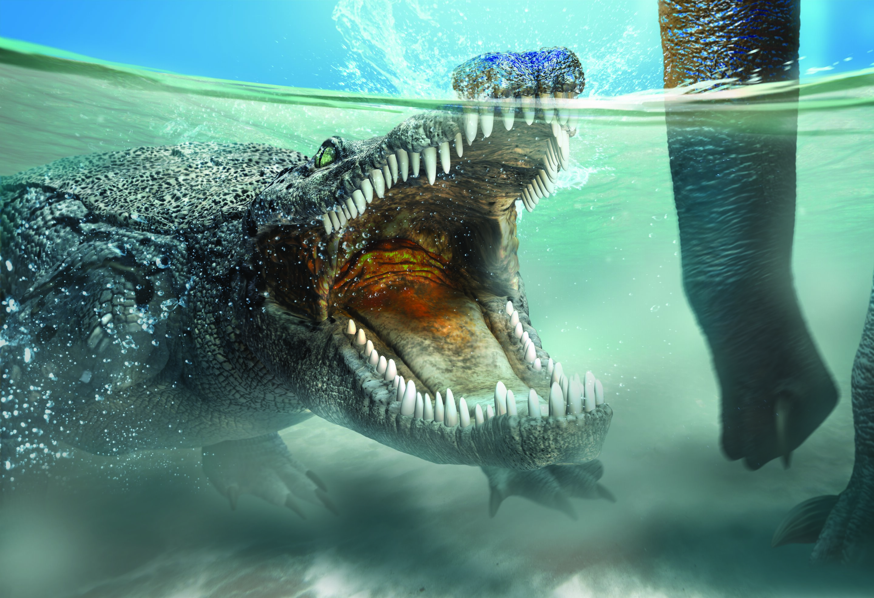 New Goniopholidid Species From The Upper Jurassic Likely Had A