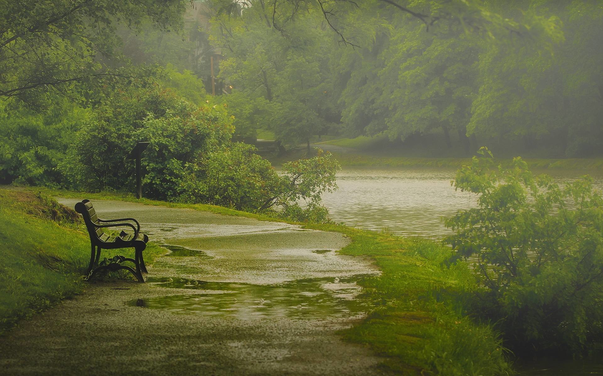 A serene rainy day scene in a park, with a lone bench overlooking a misty lake
