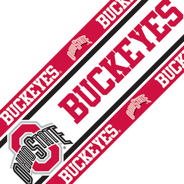 Ncaa Ohio State Buckeyes Self Stick Accent Wall Border Contemporary