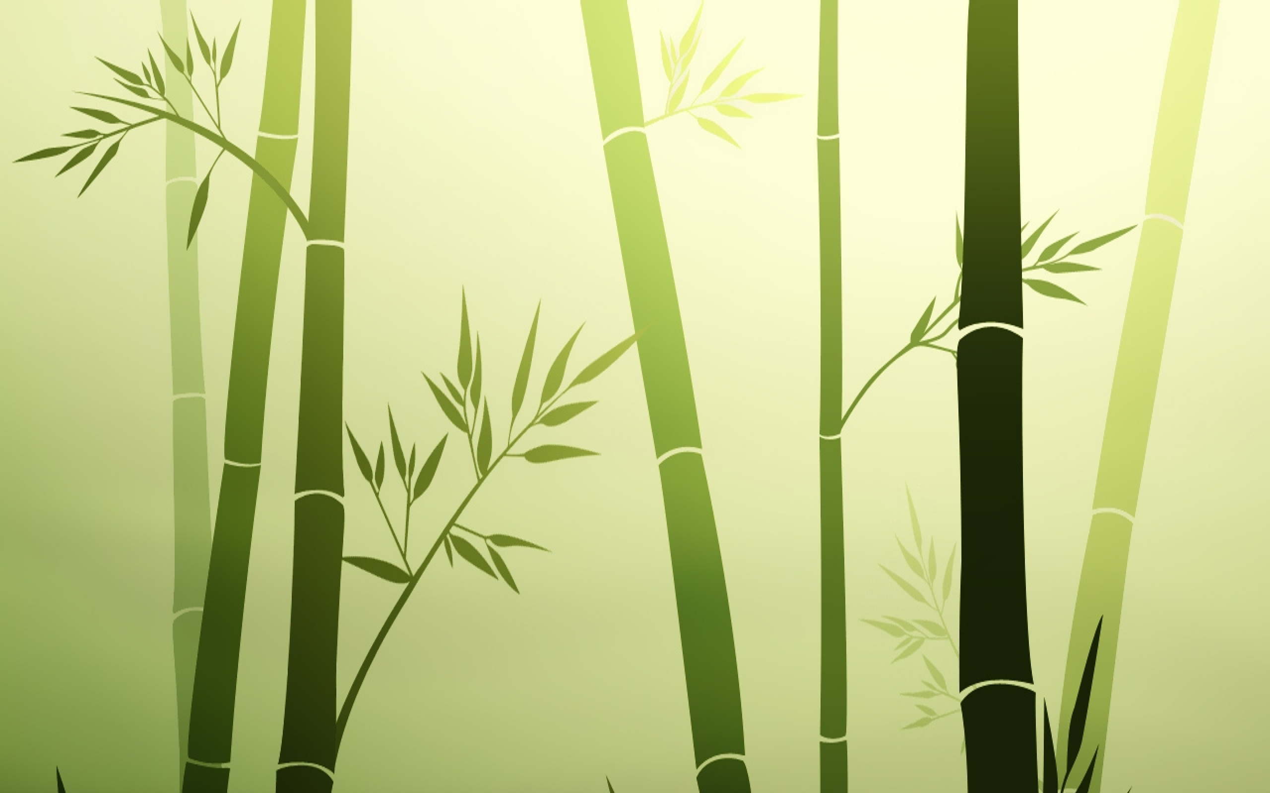 Bamboo Simplistic HD Wallpaper Background