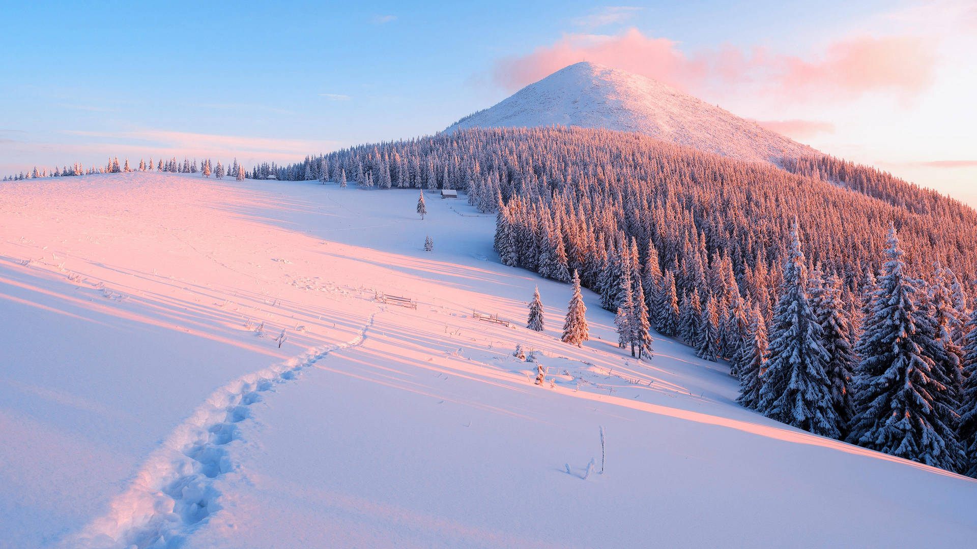 Snow Aesthetic Wallpaper