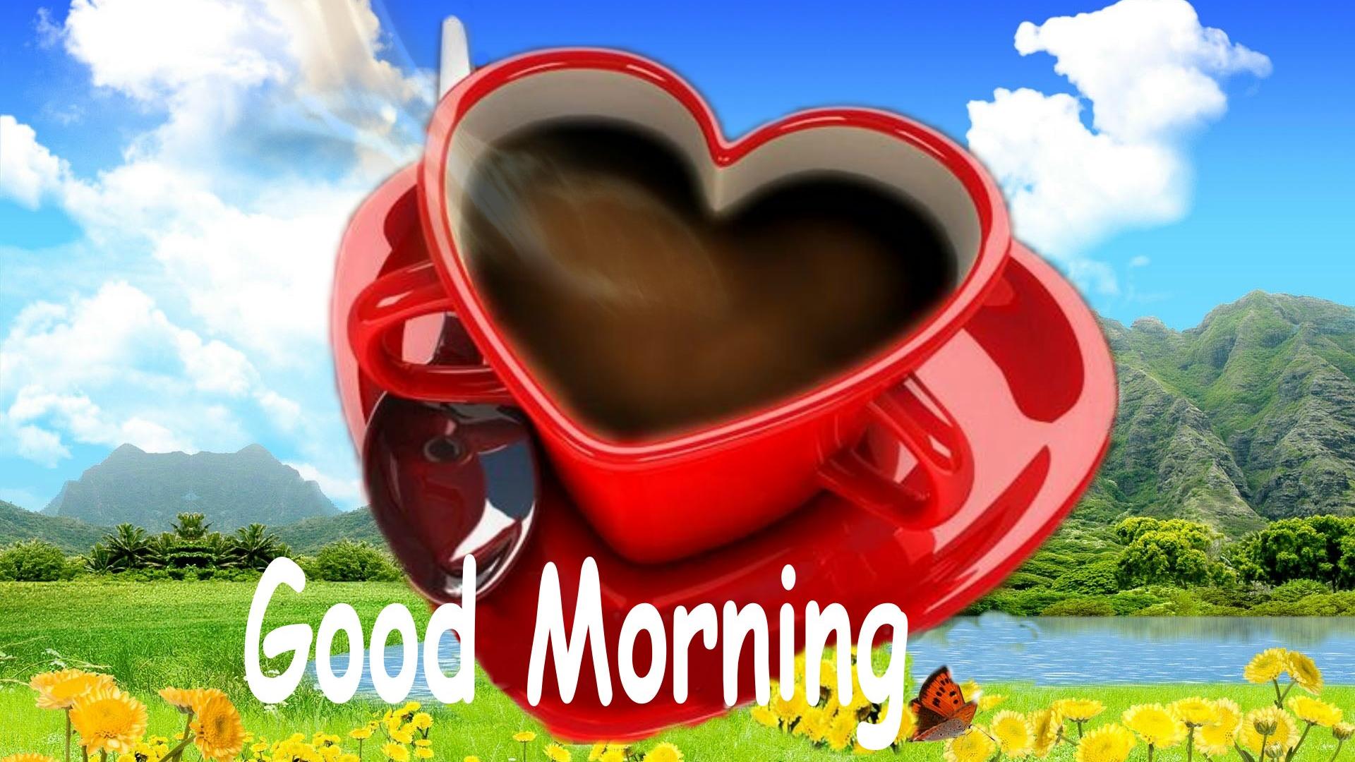 Love Good Morning Images HD Wallpaper of Greeting