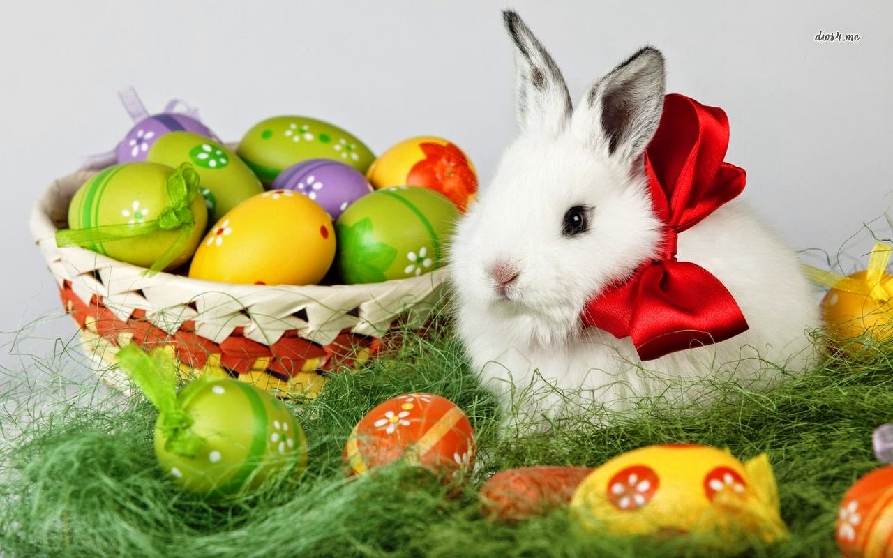 Happy Easter Recipes Food Videos And