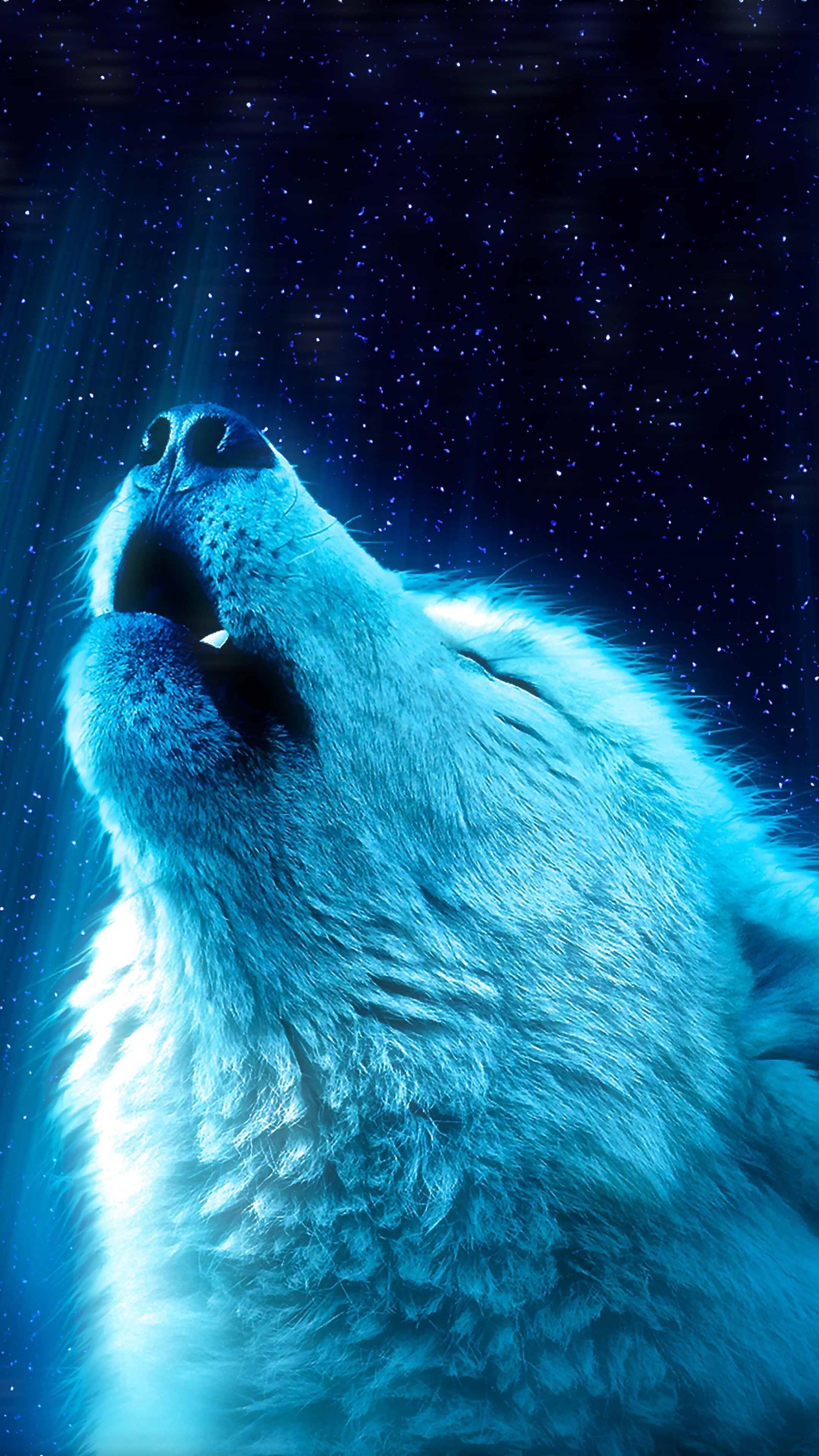 White Wolf Howling 8k Wallpaper