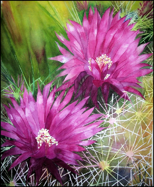 Cactus Flower Watercolor By