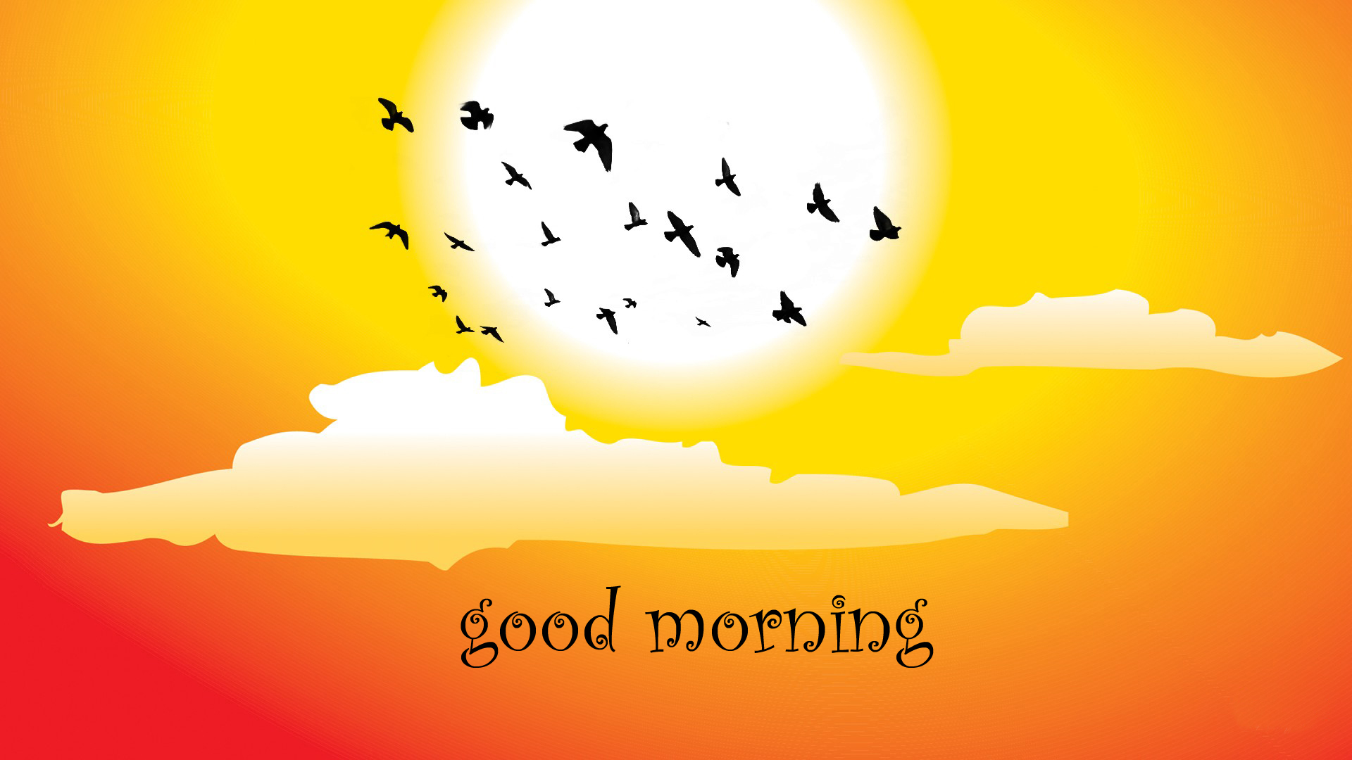 Good Morning HD Wallpaper Pictures