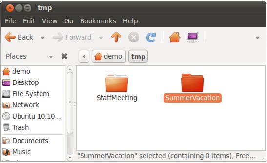 Folders In The Ubuntu File Manager