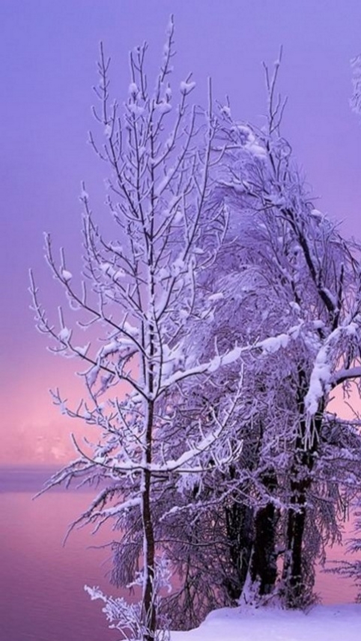 Featured image of post Winter Sfondi Invernali Tumblr 1920x1200 nature winter hd wallpaper