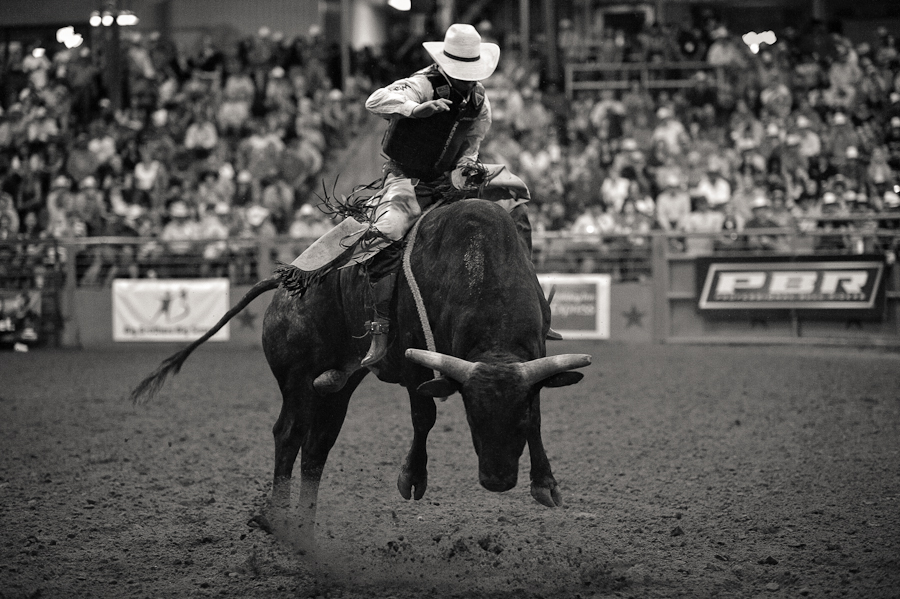 Top Pbr Bull Riding Wallpaper Image For
