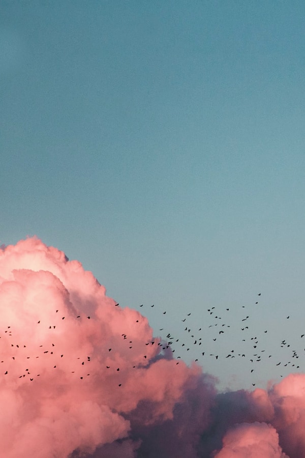 Amazing Cloud Aesthetic Wallpaper For Your iPhone