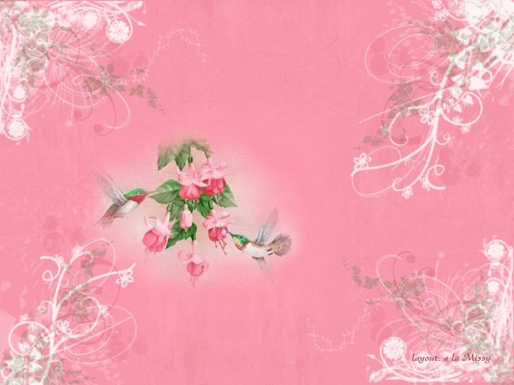 Hummingbird Pink Background For Powerpoint Animal