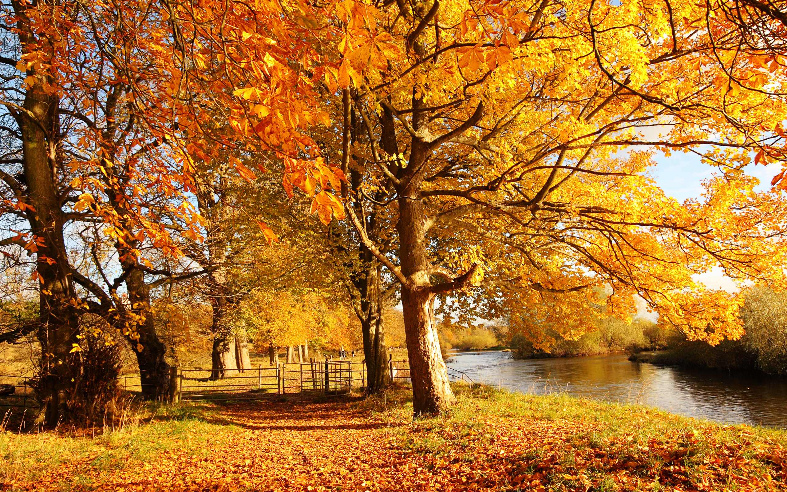 Scotland Autumn River Fall Wallpaper