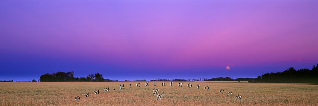 Panorama Scenic Prairie Wheat Field Moon Saskatchewan Photo 1024x343