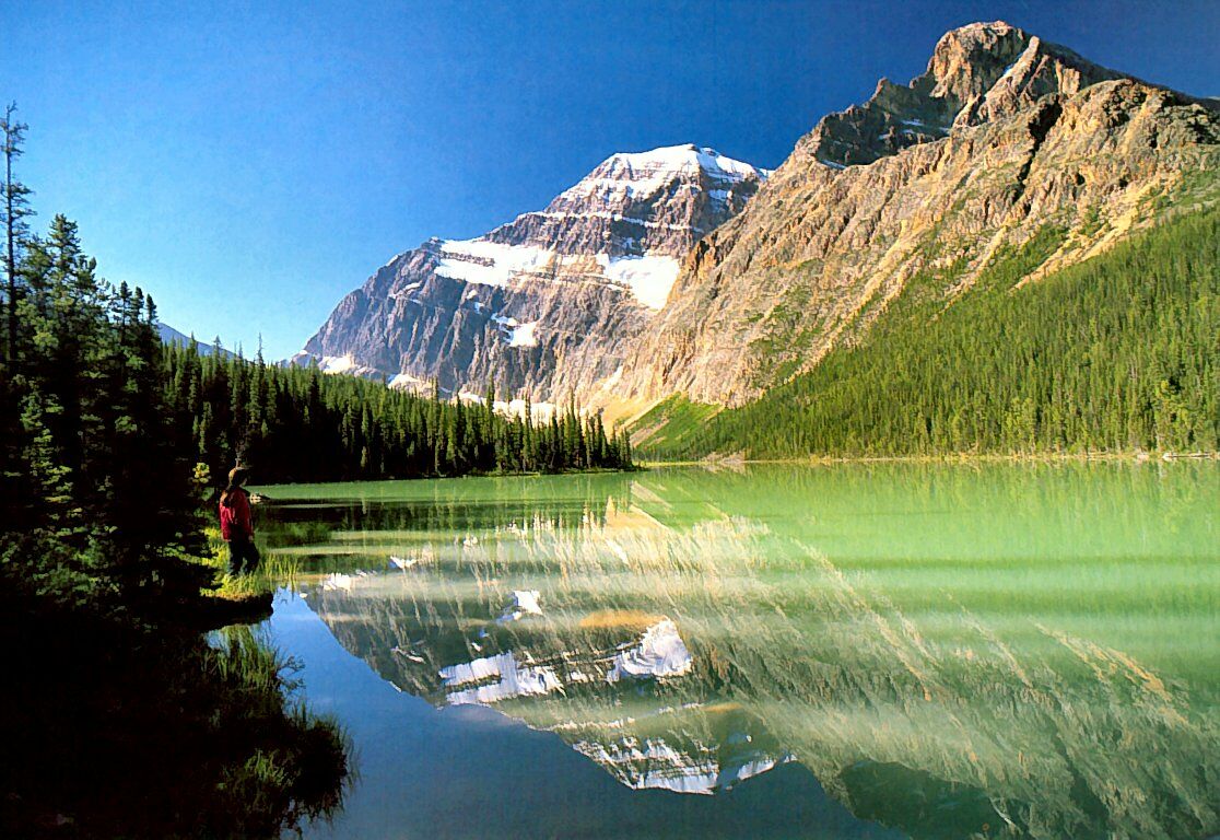 Canadian Rockies Cavell Lake Nature Wallpaper Featuring Mountains