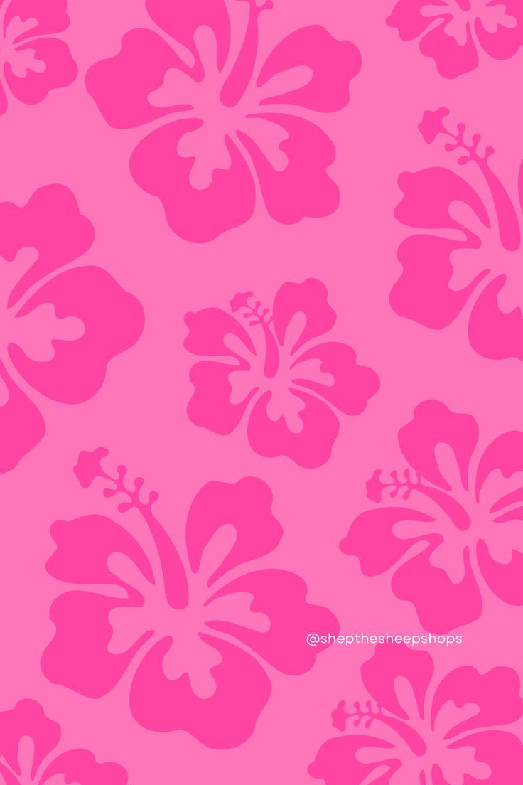 Aesthetic Trendy Simple Pink Hibiscus Print Background Wallpaper