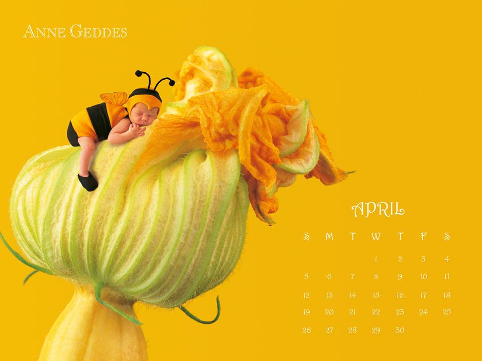 Anne Geddes Our Adorable Second April Wallpaper Is Also