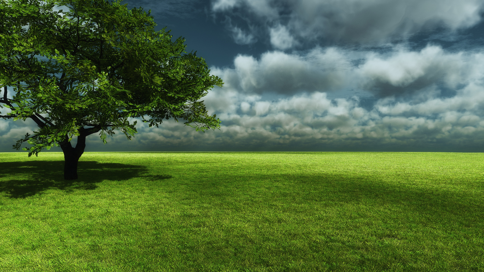 Serene landscape with a lone tree in a green field under a dramatic cloudy sky