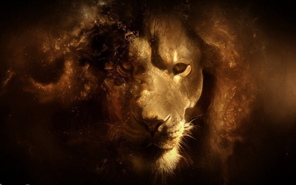 Lion Zodiac Leo Wallpaper
