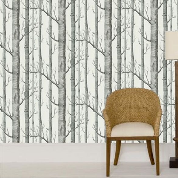 Cole And Sons Birch Tree Wallpaper My Style