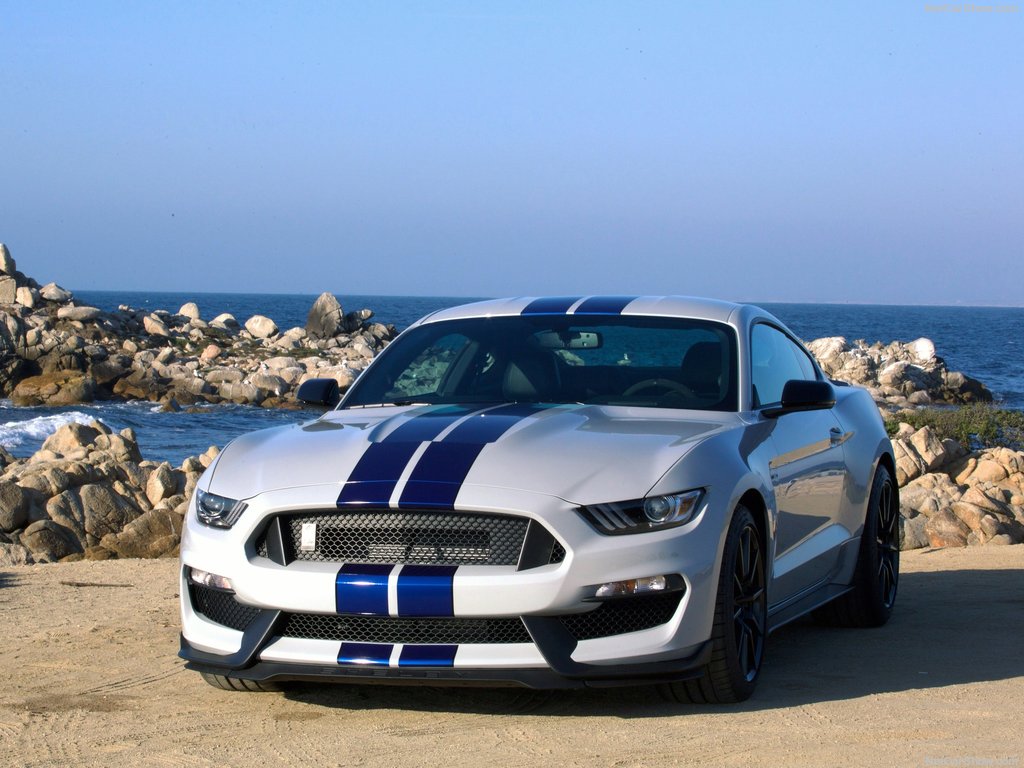Shelby Mustang Gt350 Image Ford White