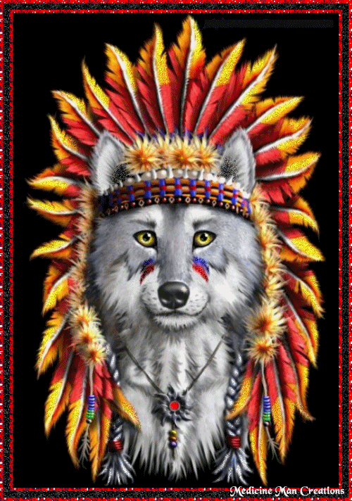 Indian Wolf