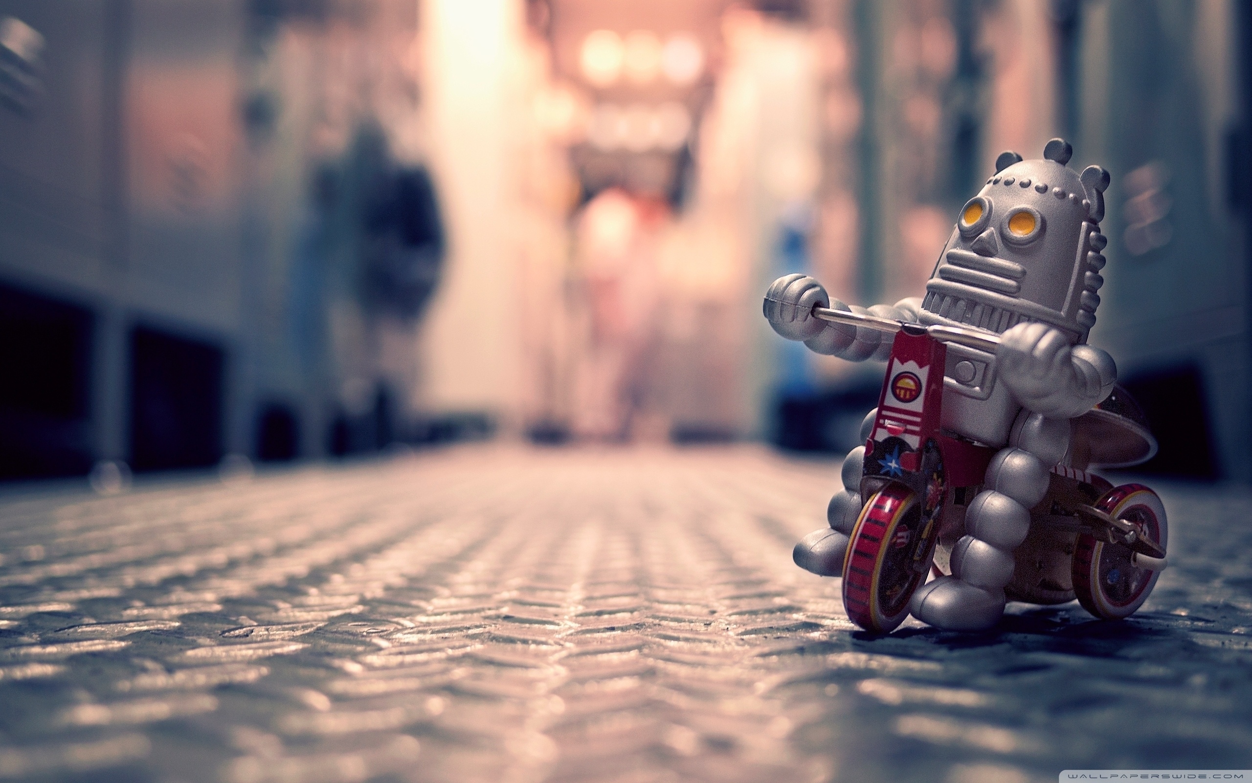 Lonely Toy Robot Photography Wallpaper 2756   Ongur