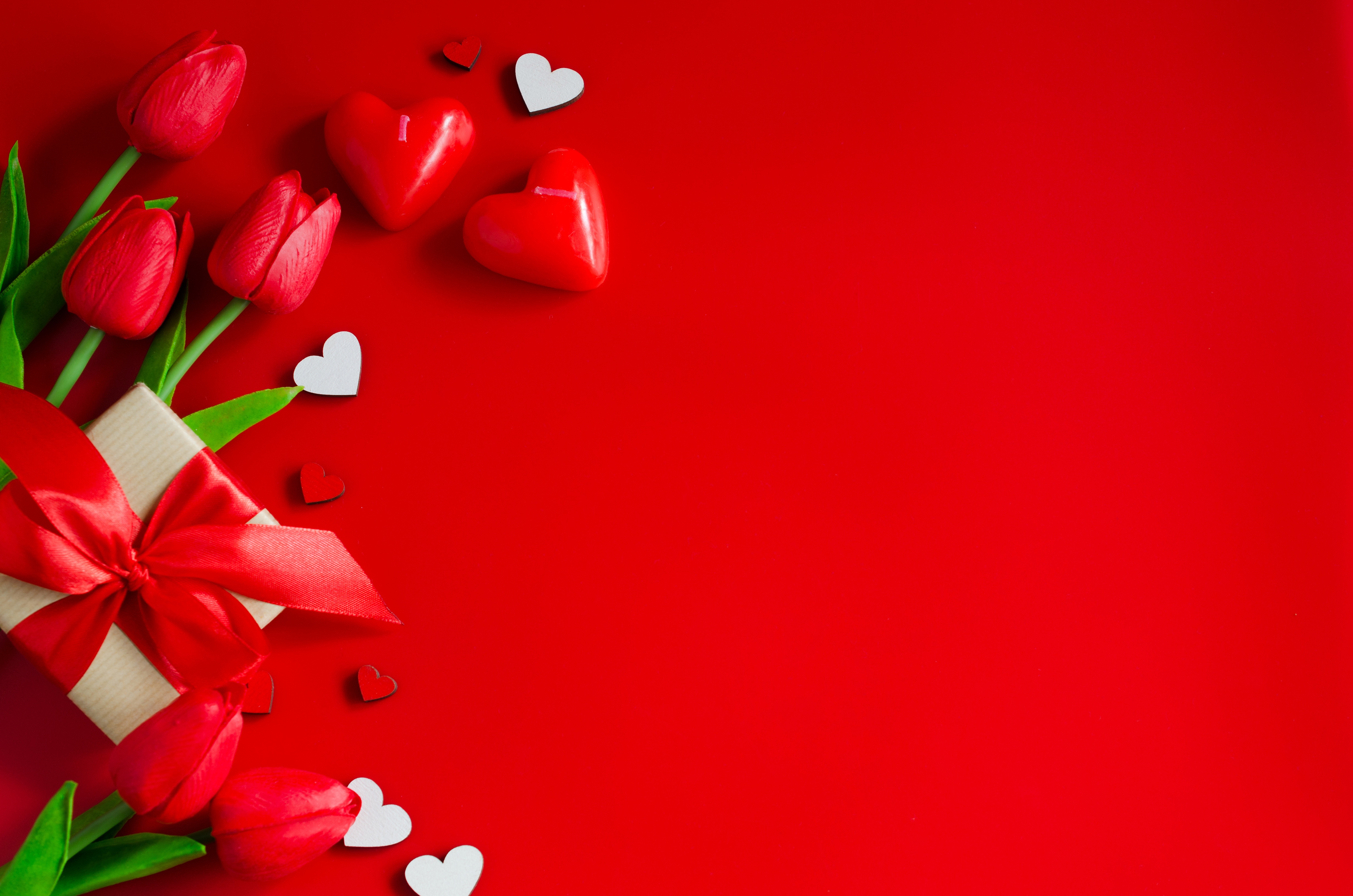 Valentine's Day background with red tulips, gift box, and heart decorations on a vibrant red backdrop