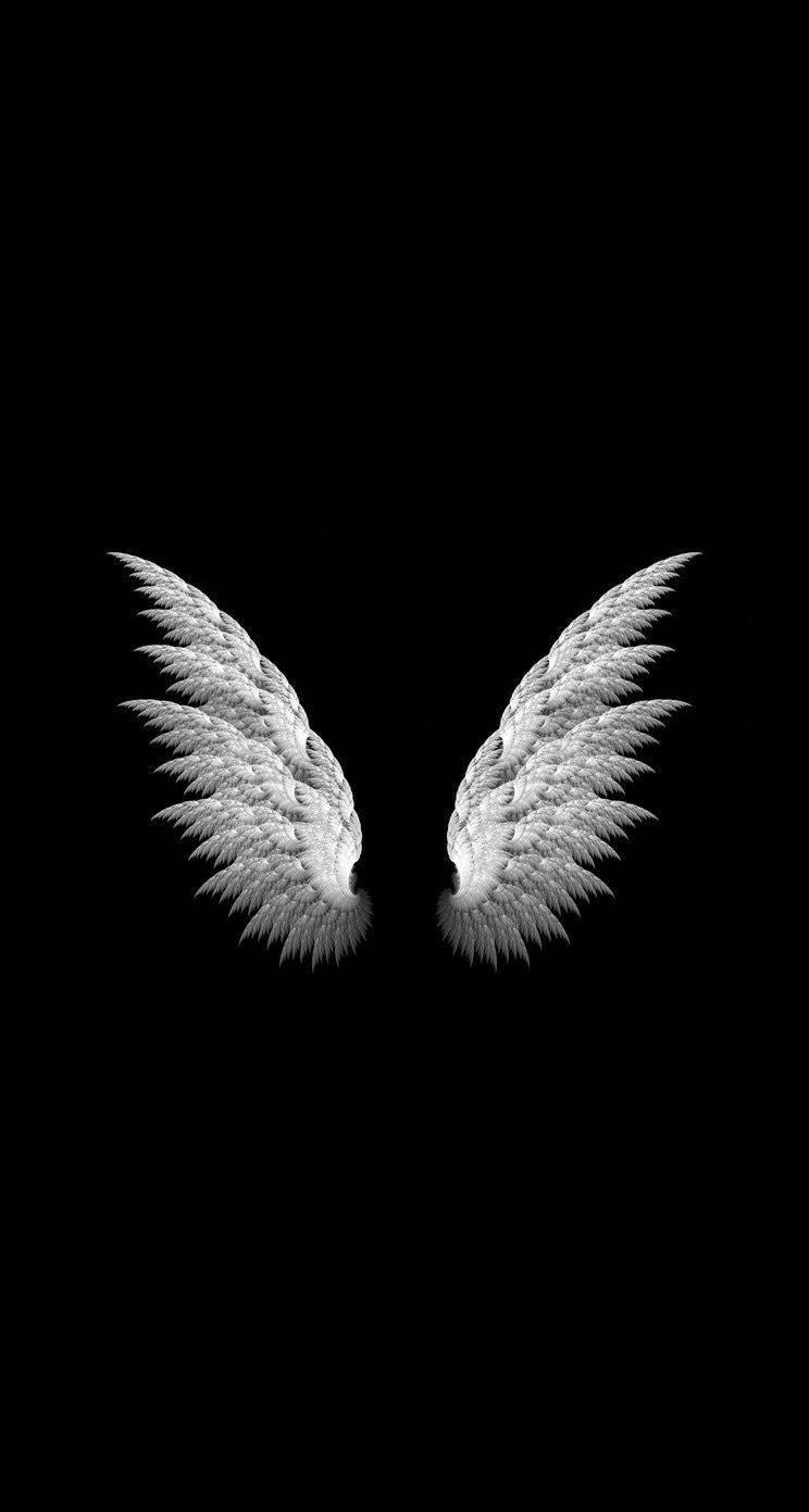 Black Wallpaper