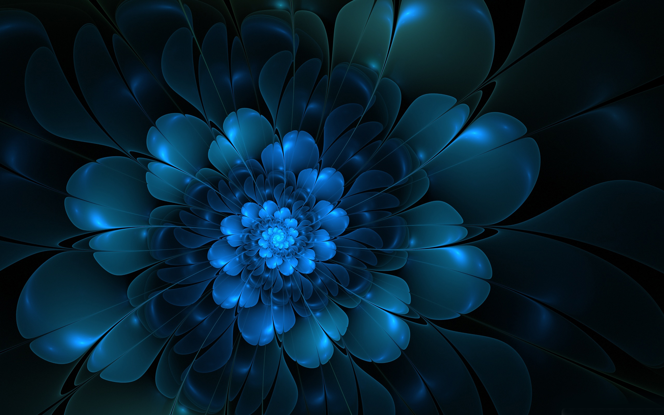 Blue Flower Dark Background Creative Wallpaper Flowers