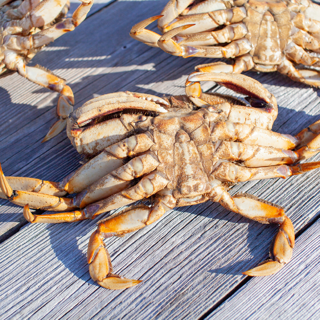 The Ultimate Guide To Cooking Dungeness Crab Recipes Tips And Wallpaper