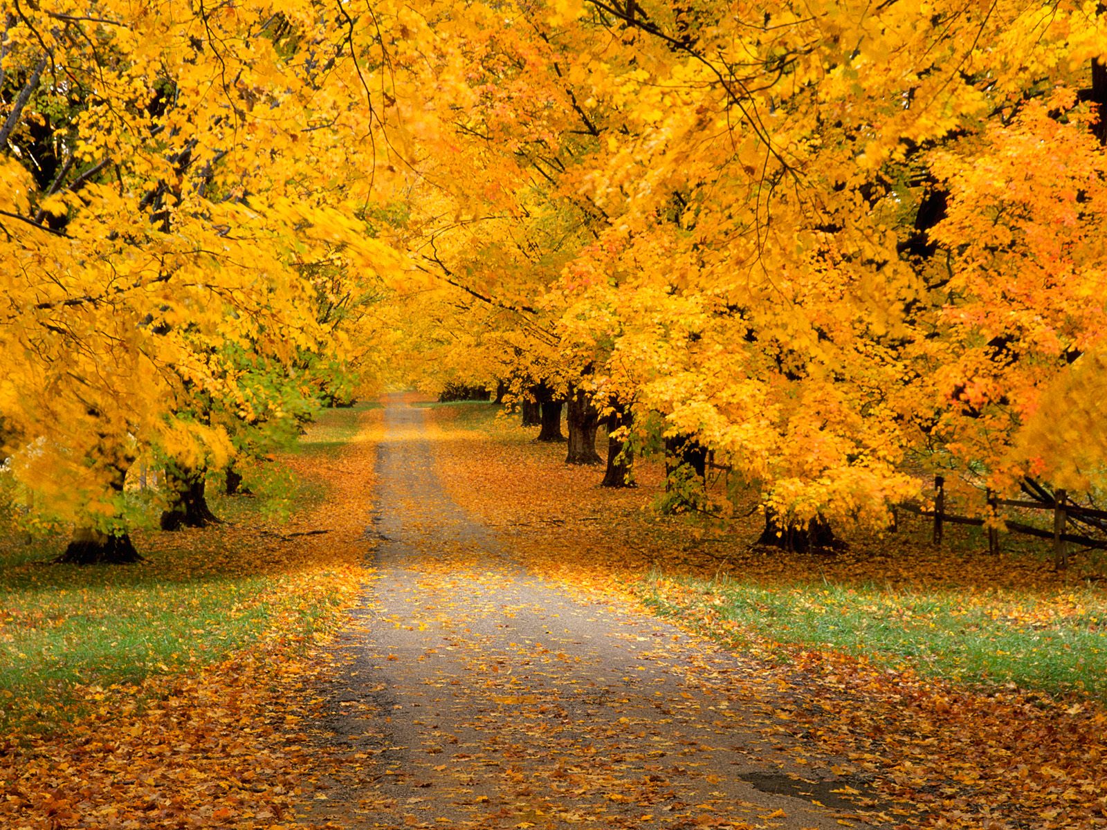 Autumn Wallpaper For Desktop Widescreen